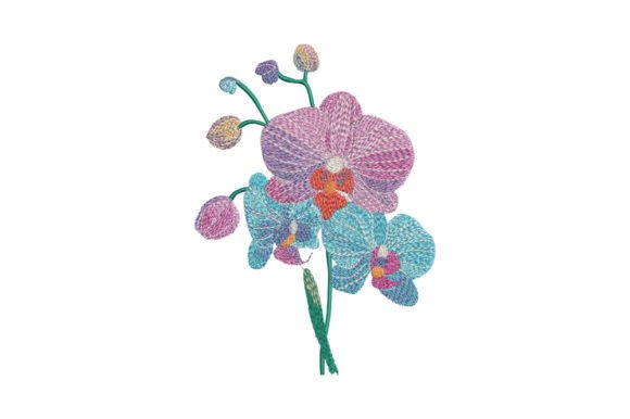 Bouquet Orchid Review for Seasonal Collections